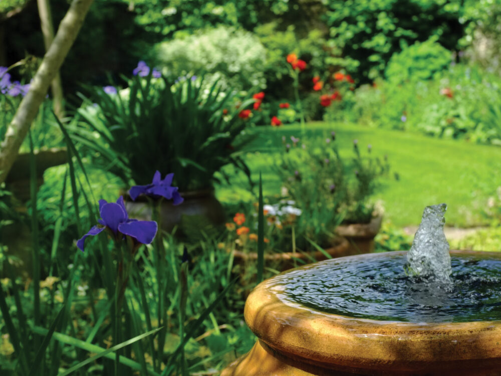 Bird'sEye View Landscape Associates