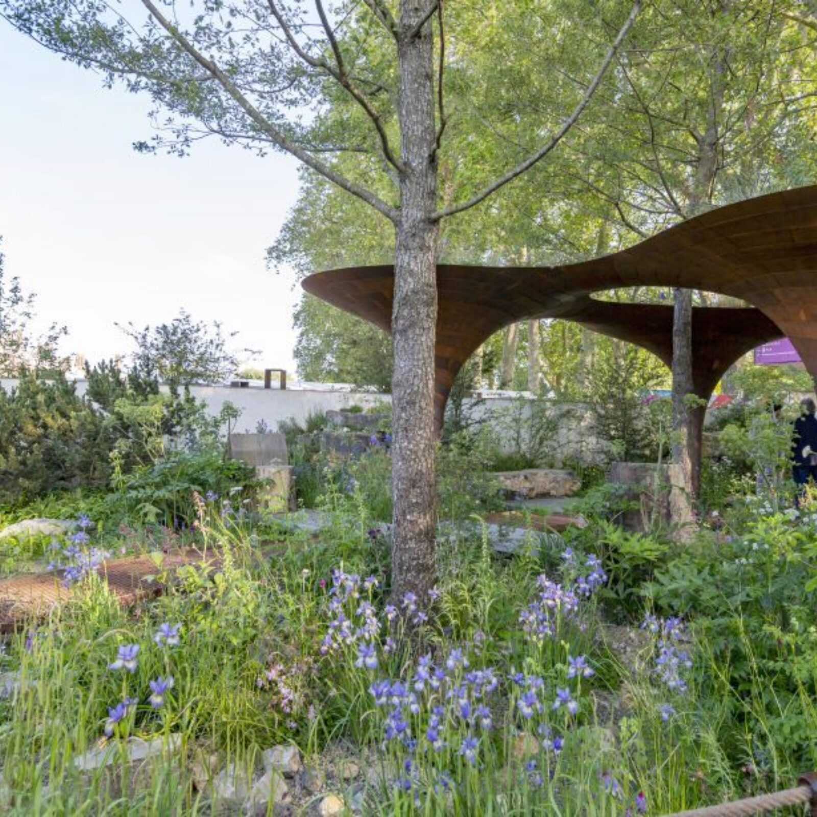 Landscape Associates The WaterAid Garden