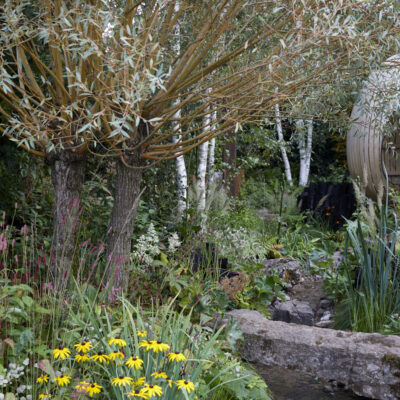 Landscape Associates Landscape Associates collect another RHS Gold Award and BBC Peoples Choice