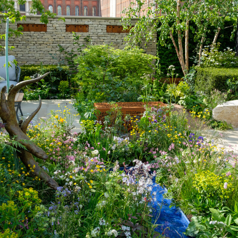 Landscape Associates RSPCA Garden  - RHS Chelsea Flower Show, 2023