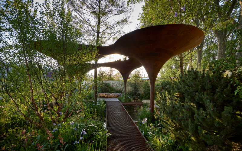 The Wateraid Garden - Chelsea Flower Show 2024