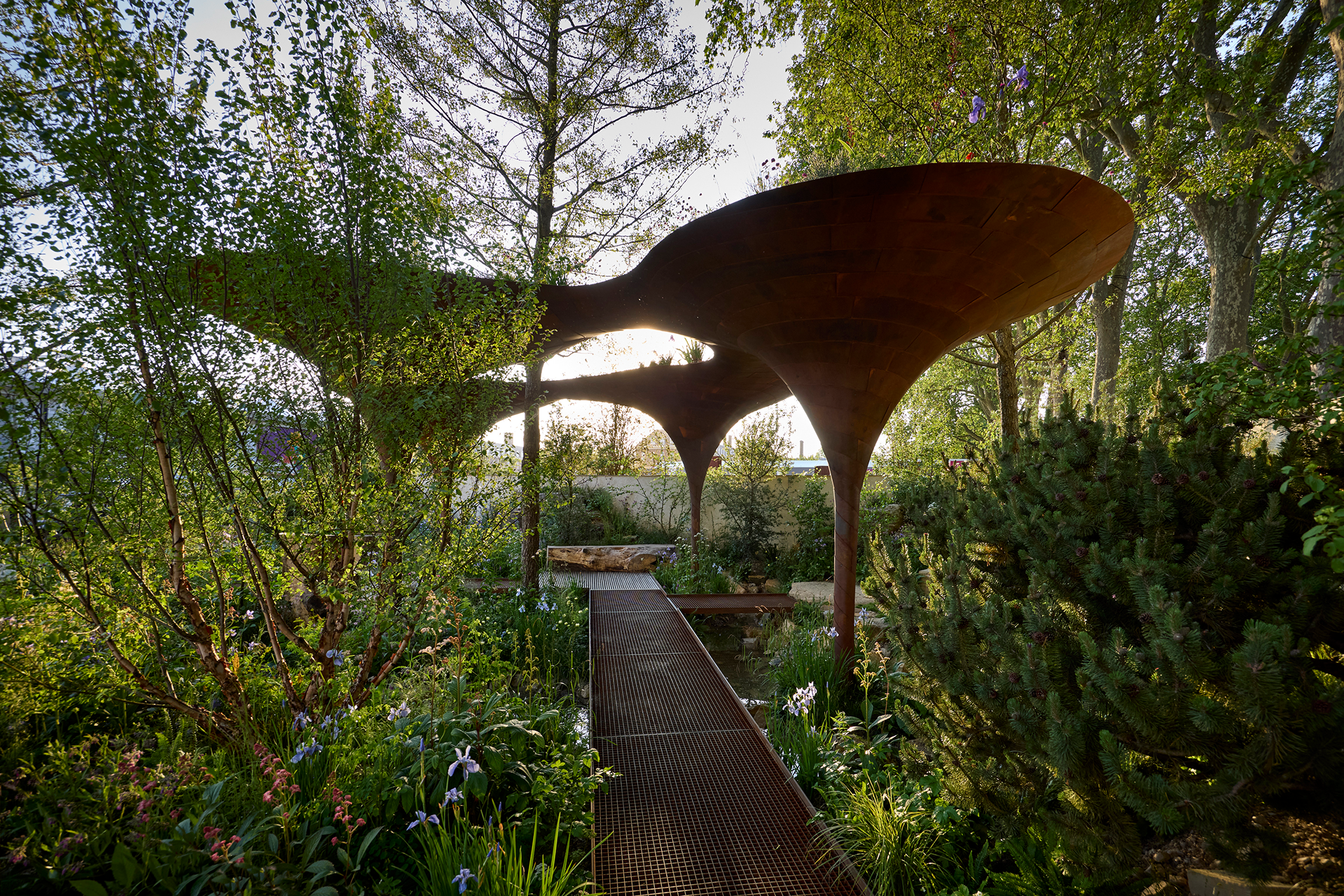 The Wateraid Garden - Chelsea Flower Show 2024