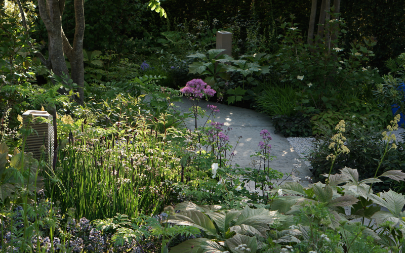 National Brain Appeal (NBA ) - Chelsea Flower Show, 2023