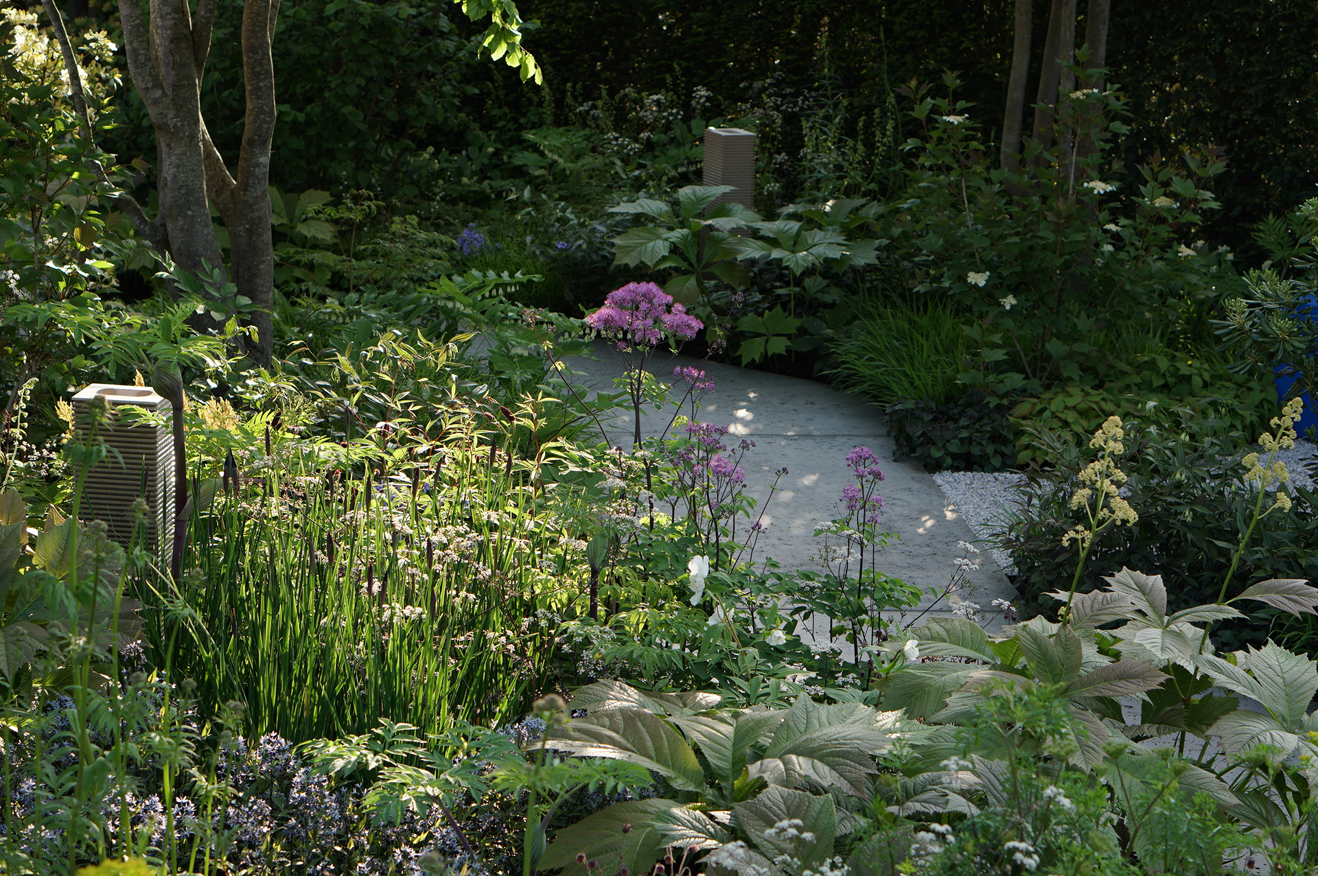 National Brain Appeal (NBA ) - Chelsea Flower Show, 2023
