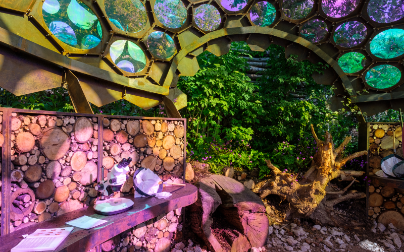 Royal Entomology Society (RES) - RHS Chelsea Flower Show, 2023
