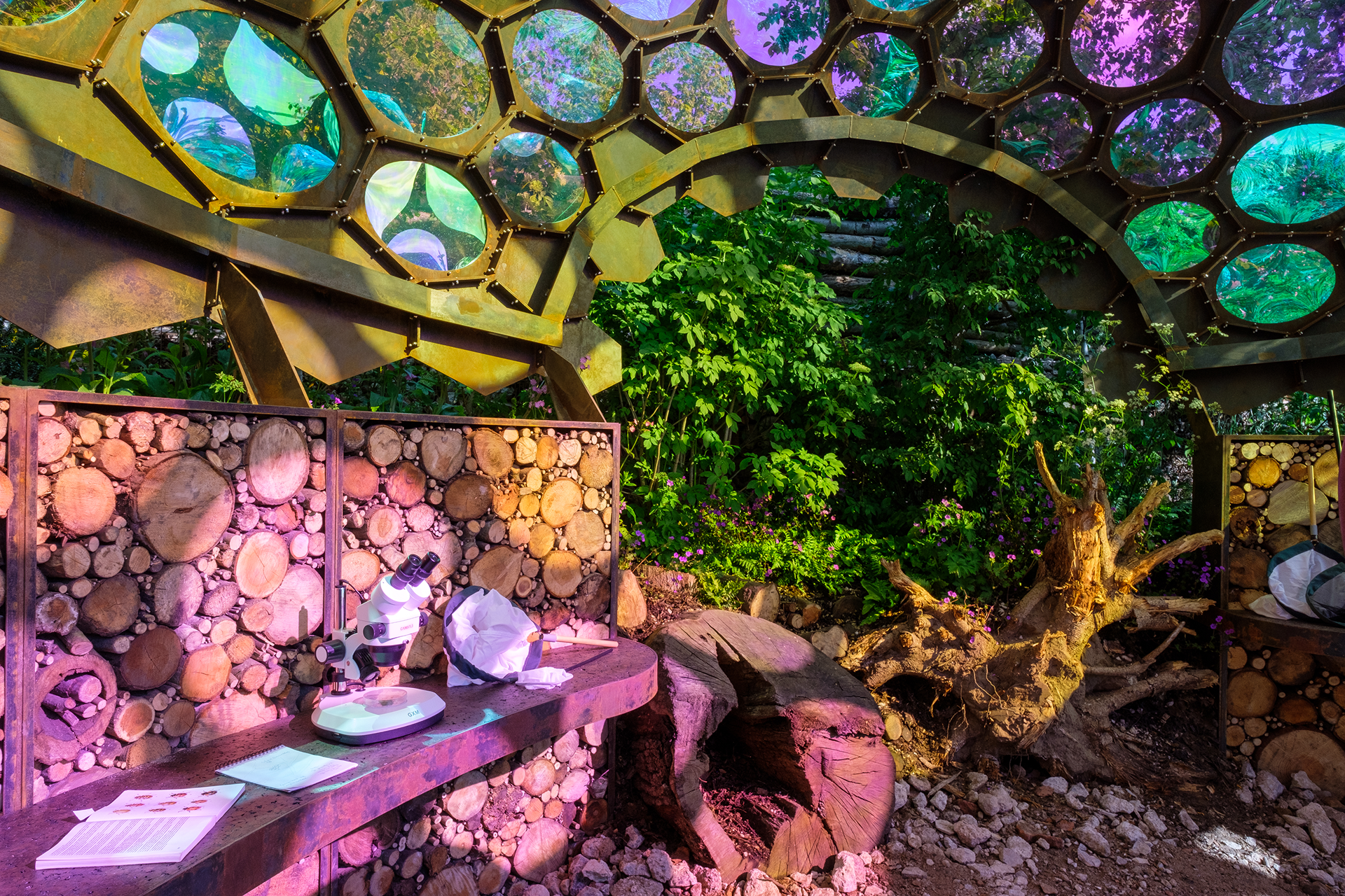 Royal Entomology Society (RES) - RHS Chelsea Flower Show, 2023