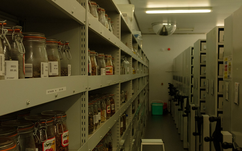 BALI South Thames Millennium Seed Bank Tour