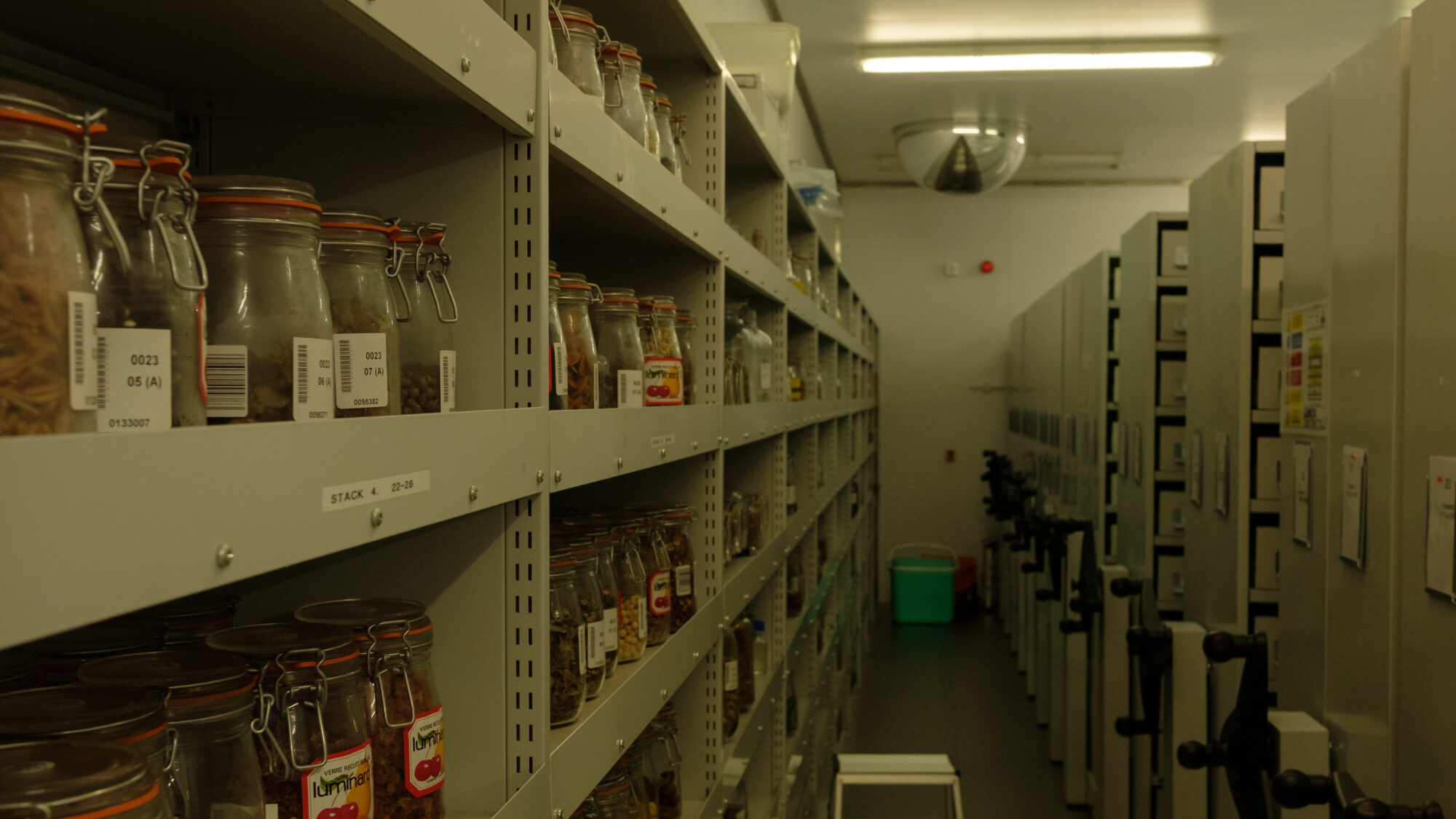 BALI South Thames Millennium Seed Bank Tour