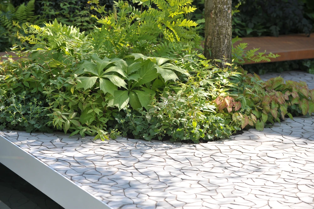 We offer garden and planting design in two ways.