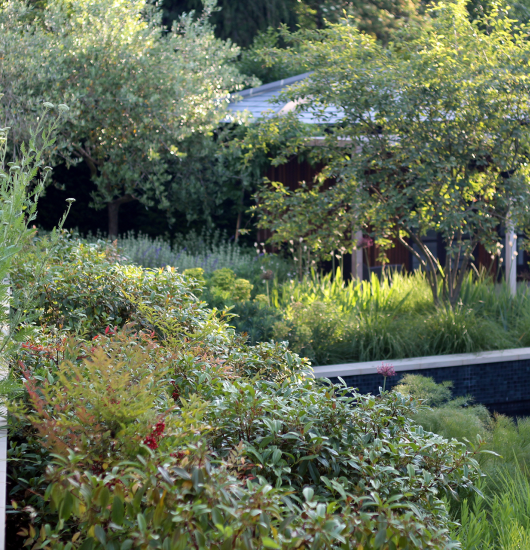 Esher