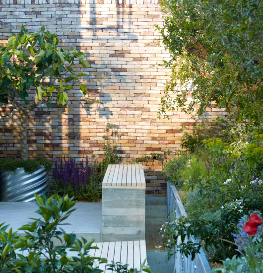 The Lemon Tree Trust Garden