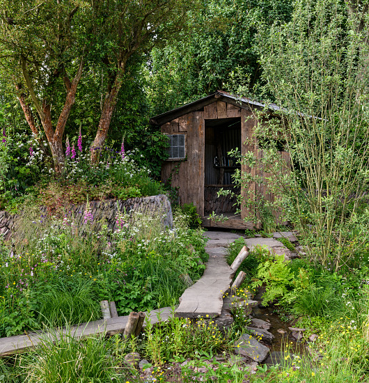 A Rewilding Britain Landscape
